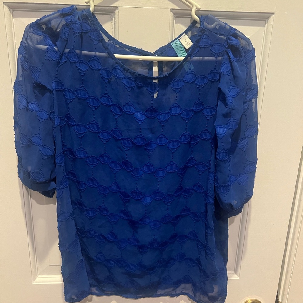 Blue Puff Sleeved Blouse